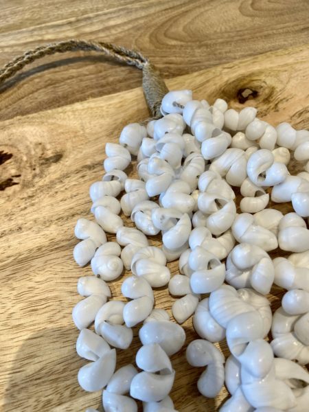 mbrase fils coquillages