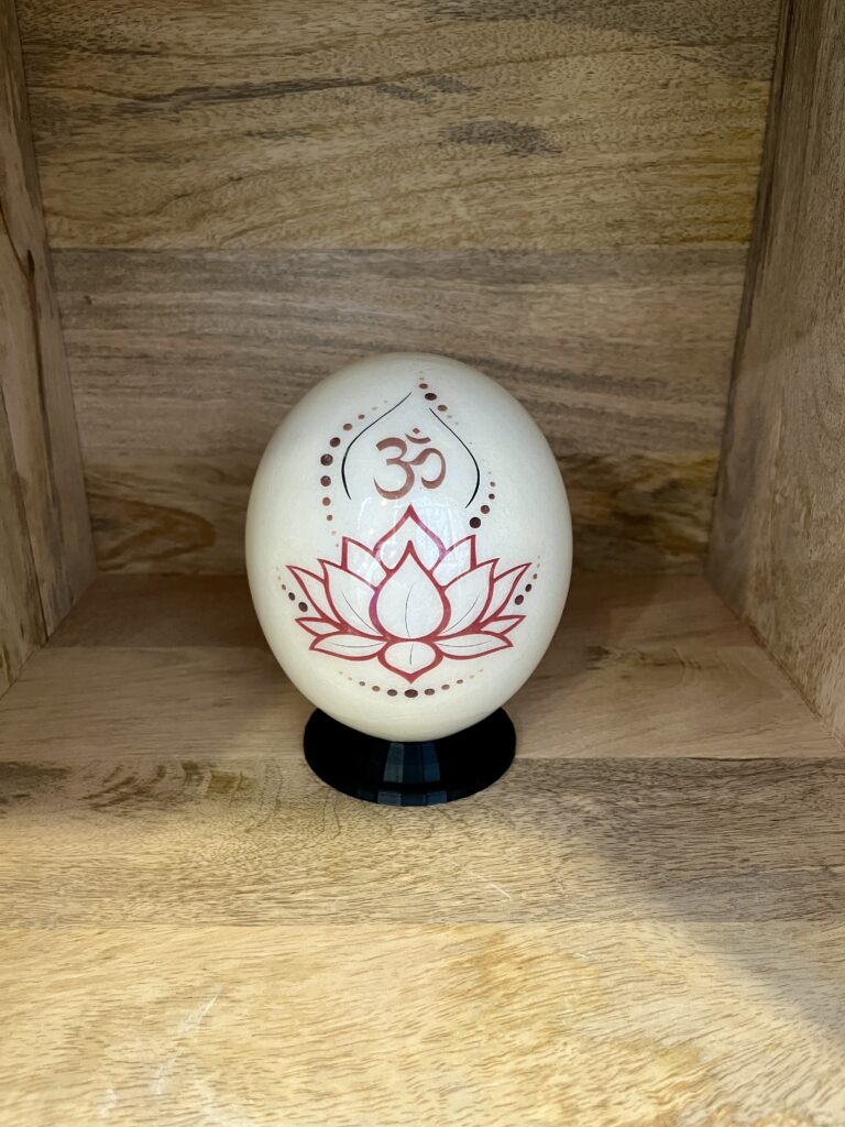 Oeuf FRAIS d'Autruche environ 1kg500