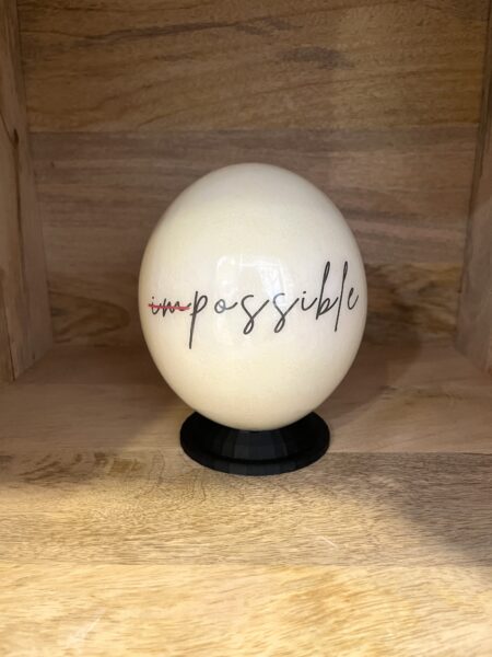 oeuf autruche impossible