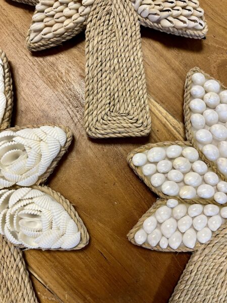 Palmiers coquillages et corde