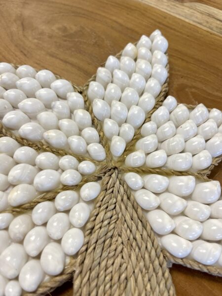 Palmiers coquillages et corde