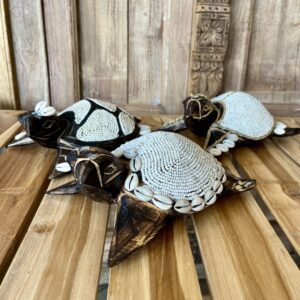 Tortues perles et coquillages L