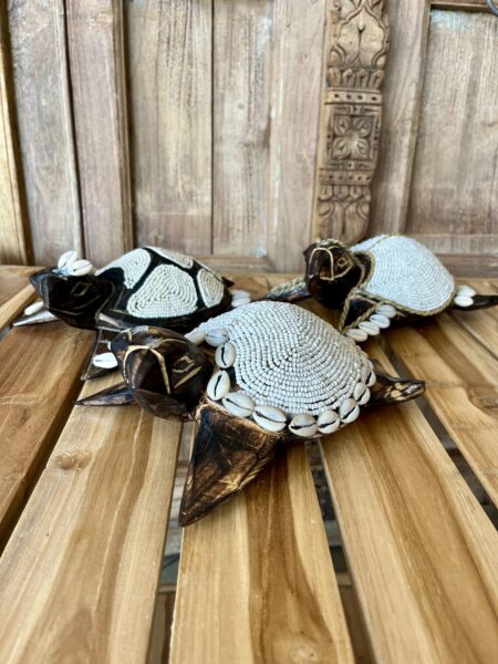 Tortues perles et coquillages L