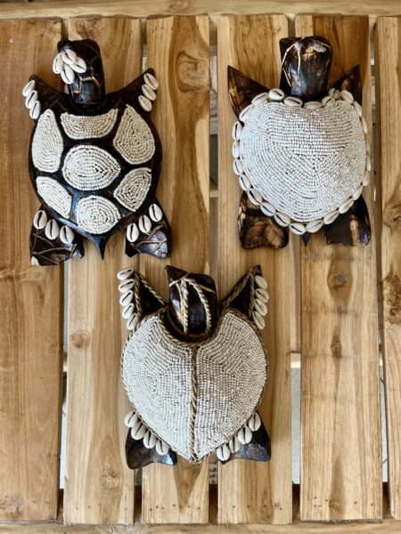 Tortues perles et coquillages L