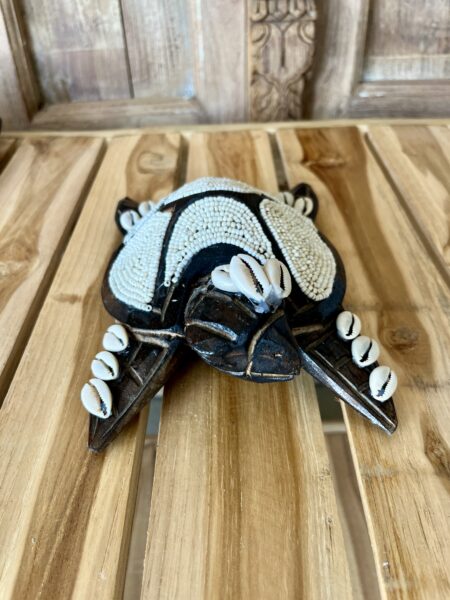 Tortues perles et coquillages L
