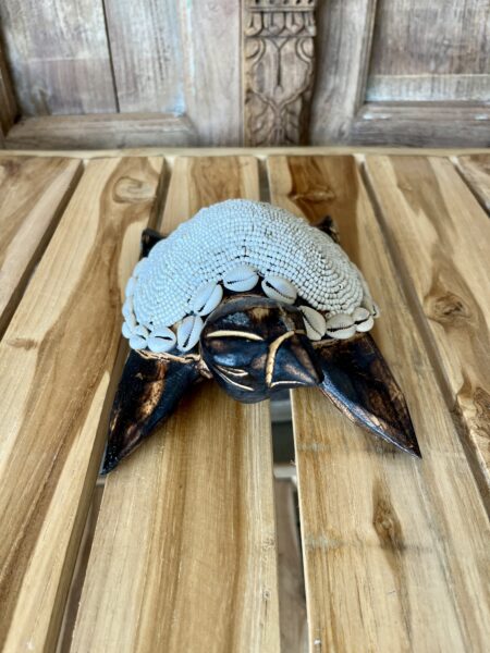 Tortues perles et coquillages L