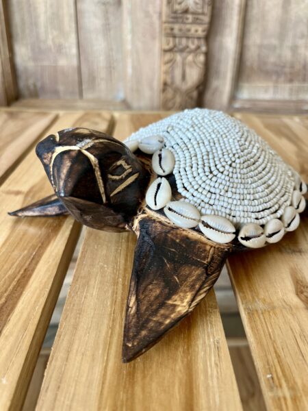Tortues perles et coquillages L