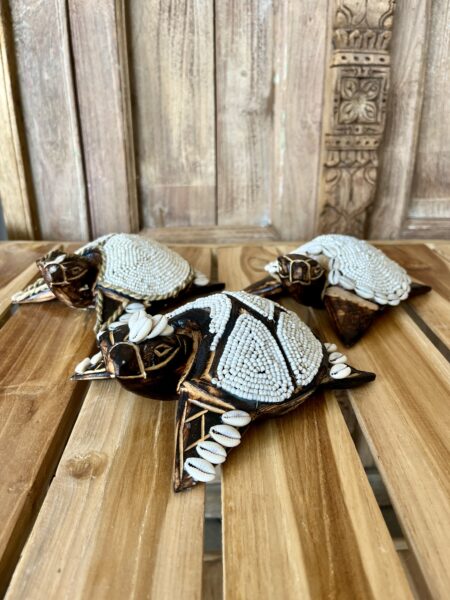 Tortues perles et coquillages M
