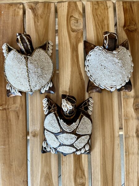 Tortues perles et coquillages M