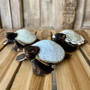 Tortues perles et coquillages S