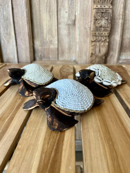 Tortues perles et coquillages S
