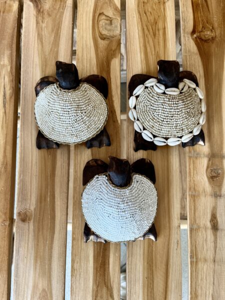 Tortues perles et coquillages S