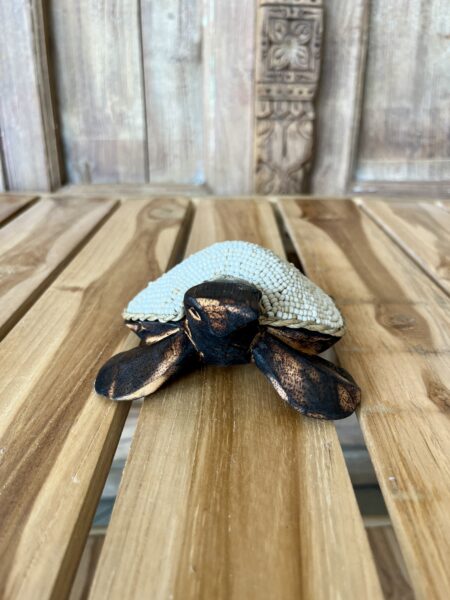 Tortues perles et coquillages S
