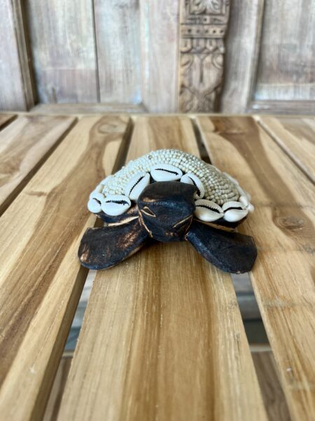 Tortues perles et coquillages S