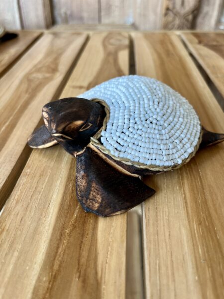 Tortues perles et coquillages S