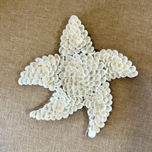 Étoile en coquillages