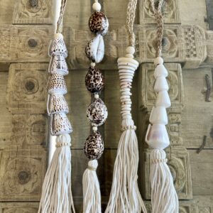 Embrase gros coquillages