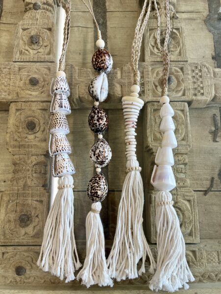 Embrase gros coquillages