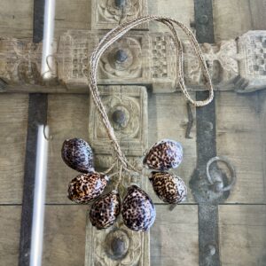 Embrase six gros coquillages