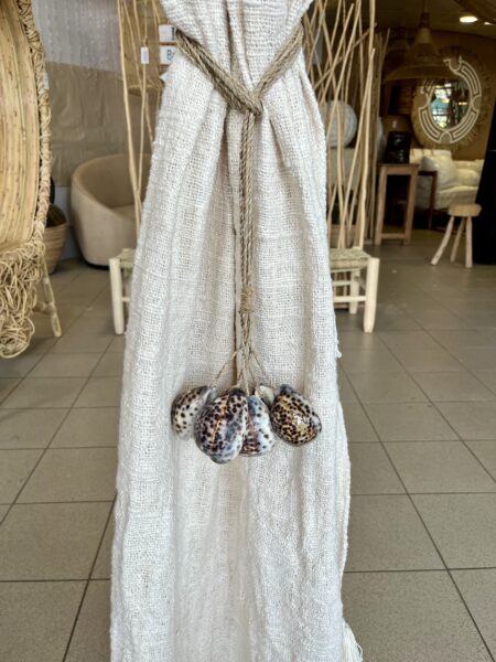 Embrase six gros coquillages