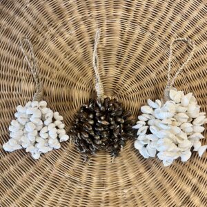 Embrase minis coquillages