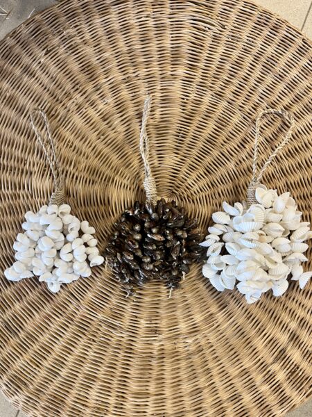 Embrase minis coquillages