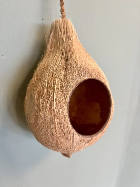 Nid oiseau coco