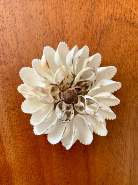 Magnet en Coquillages