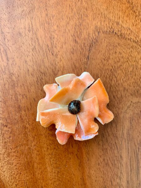 Magnet en Coquillages