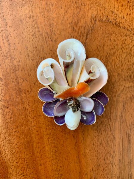 Magnet en Coquillages