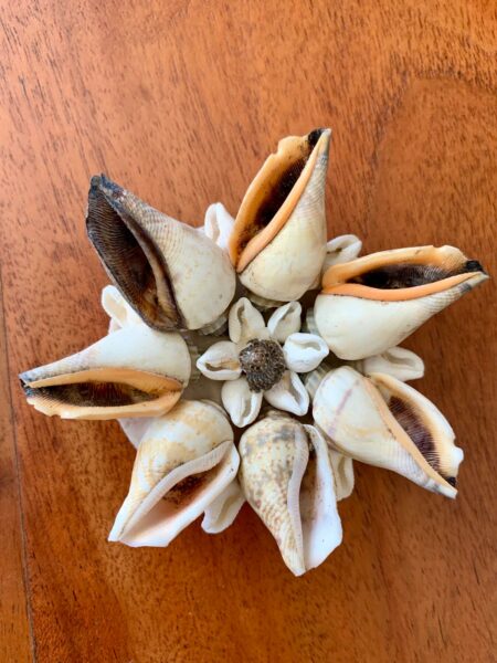 Magnet en Coquillages