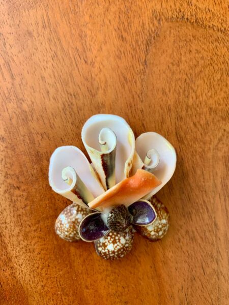 Magnet en Coquillages