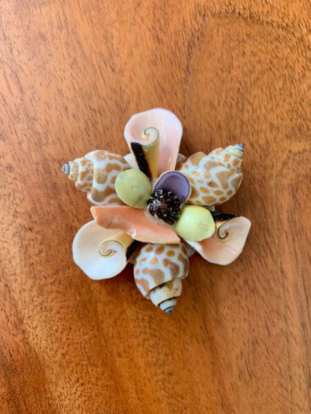 Magnet en Coquillages