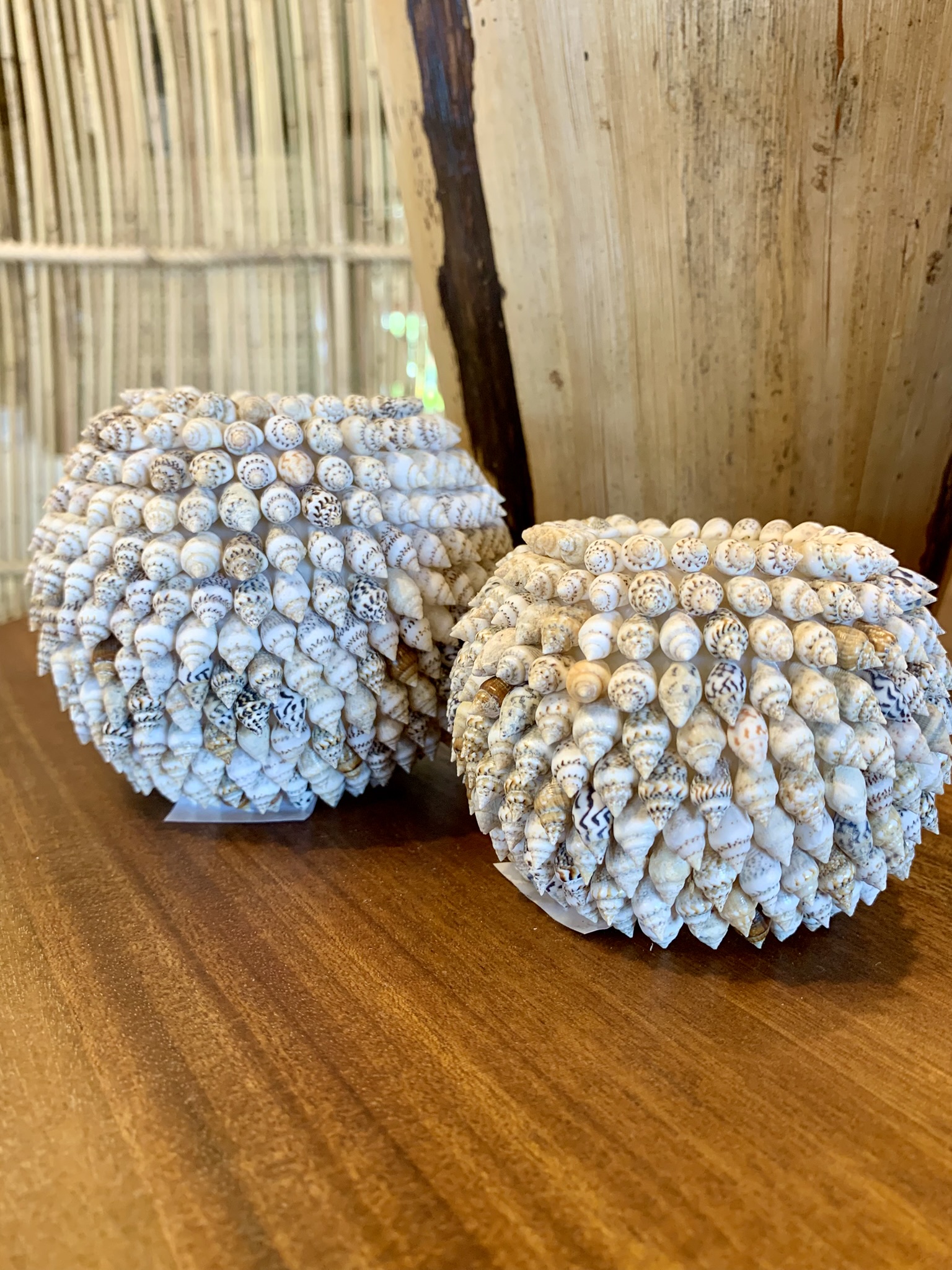 Bougeoir en petits coquillages escargots de Bali