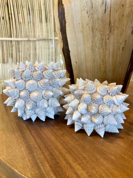 Bougeoir en coquillages pointus de Bali
