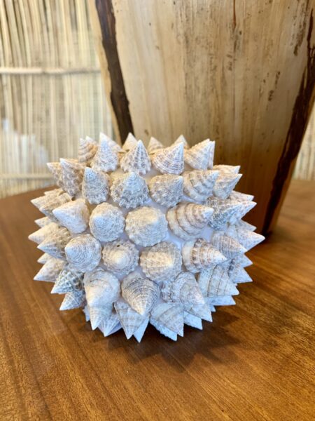 Bougeoir en coquillages pointus de Bali