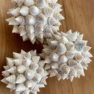Boule en coquillages pointus de Bali