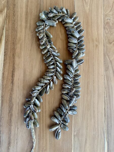 Tresse en coquillages