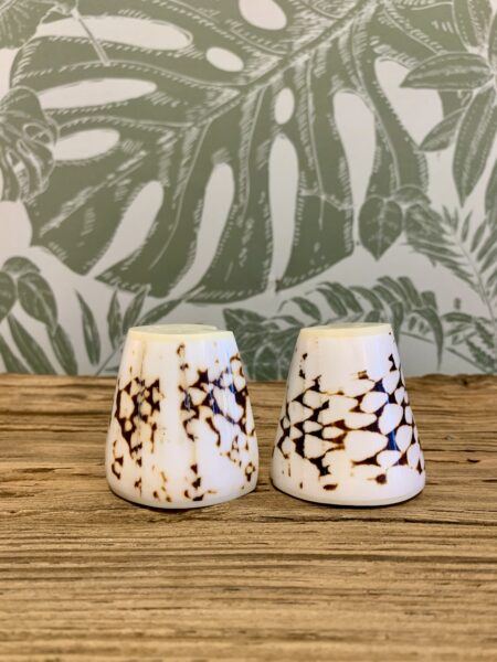 Duo sel & poivre coquillages – Image 9