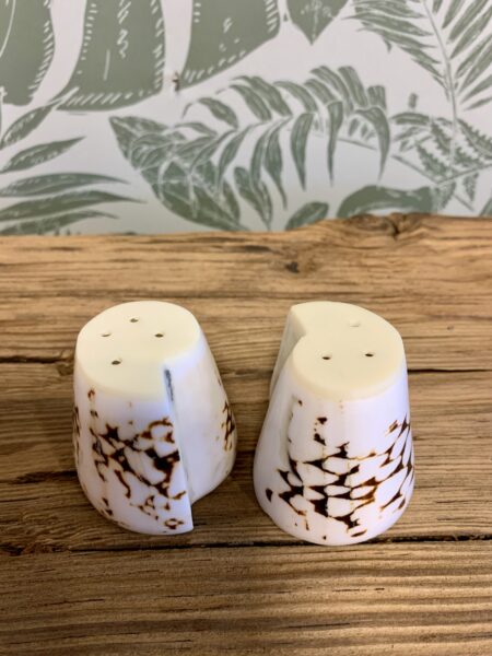 Duo sel & poivre coquillages – Image 7