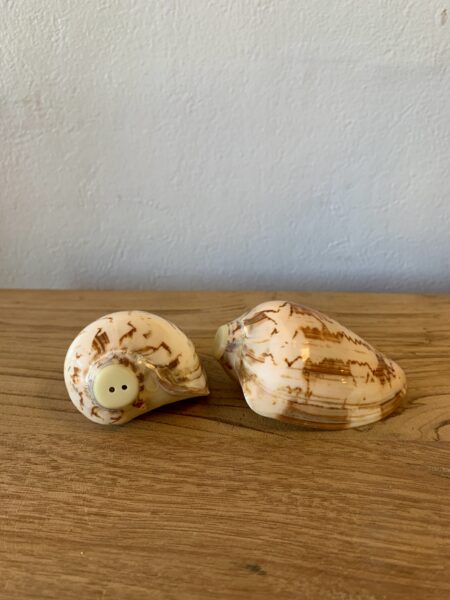 Duo sel & poivre coquillages – Image 5