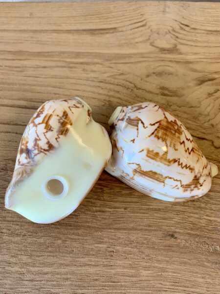 Duo sel & poivre coquillages – Image 4