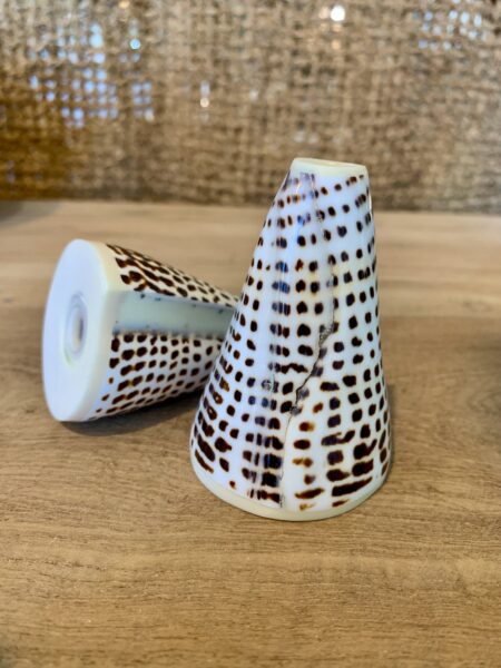 Duo sel & poivre coquillages – Image 3