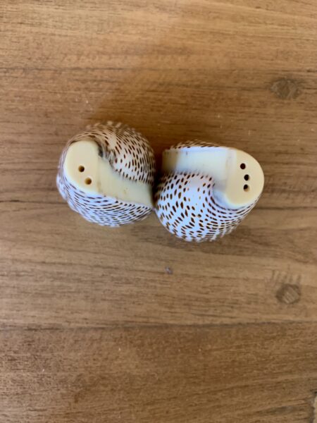 Duo sel & poivre coquillages – Image 2