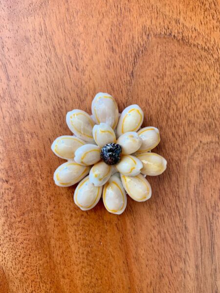 Magnet en Coquillages