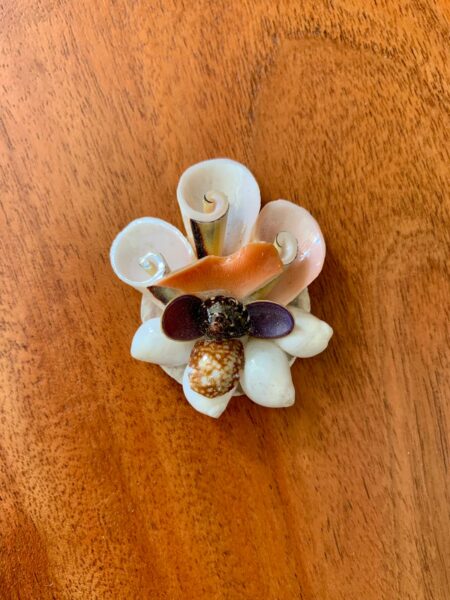 Magnet en Coquillages