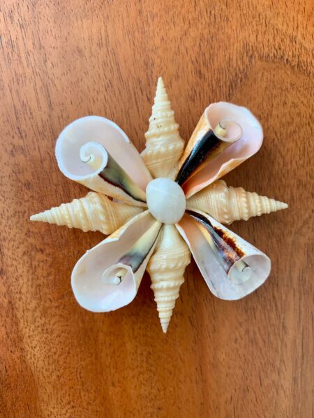 Magnet en Coquillages