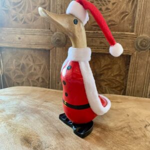 Canard déguisé Noël