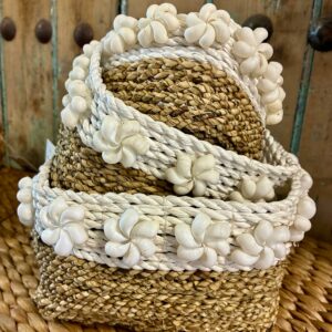 Panière bicolore et coquillages