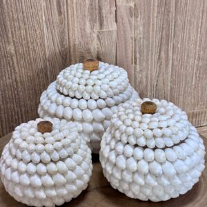 Boîte coquillages